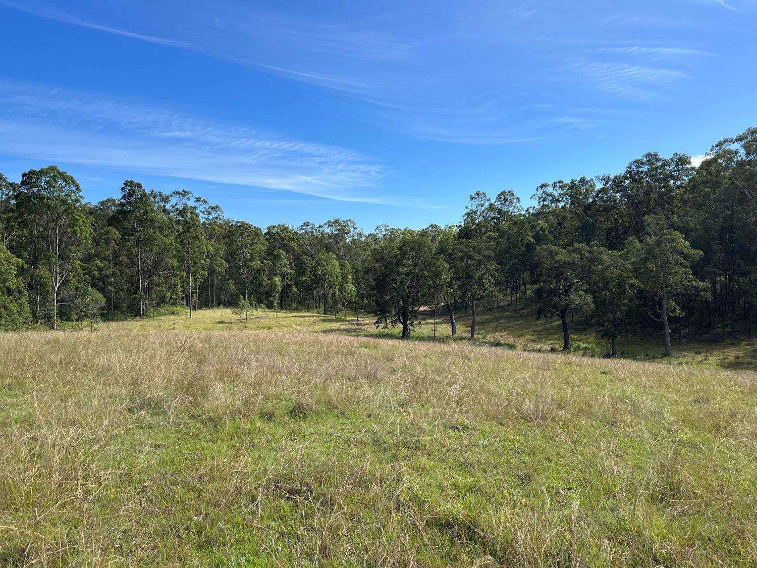 LOT 14 Old Dyraaba Road, Lower Dyraaba For Sale by Farmbuy.com - image 18