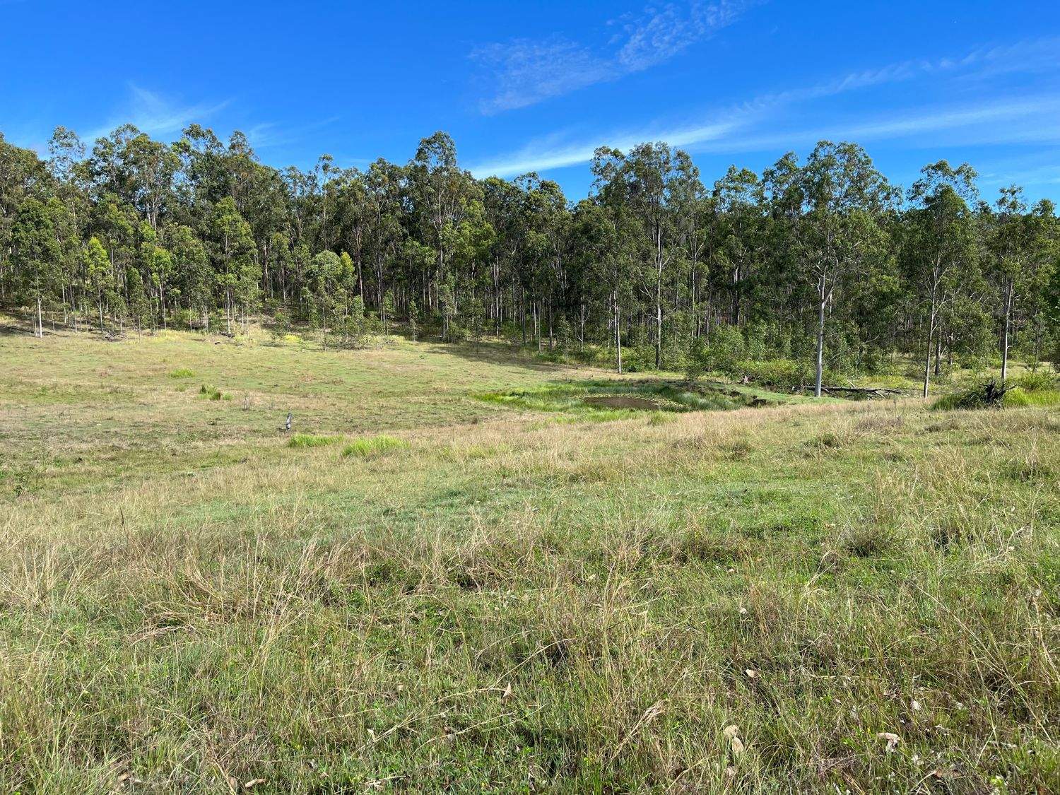 LOT 14 Old Dyraaba Road, Lower Dyraaba For Sale by Farmbuy.com - image 17
