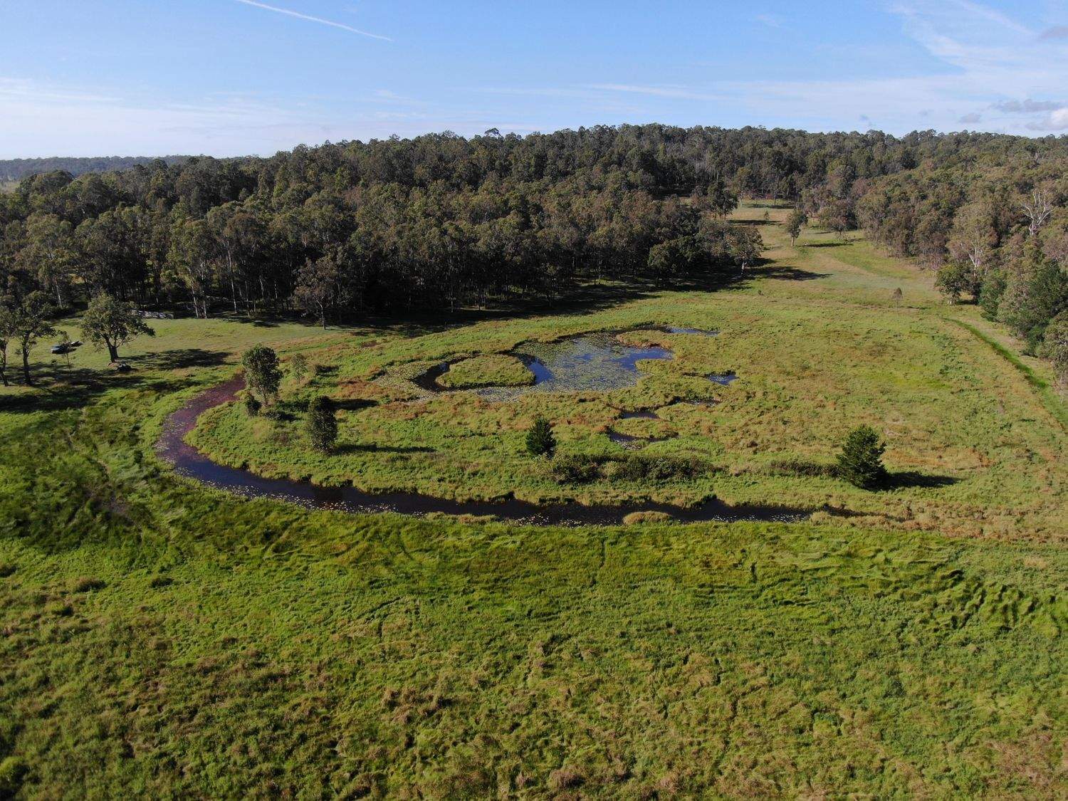 LOT 14 Old Dyraaba Road, Lower Dyraaba For Sale by Farmbuy.com - image 4