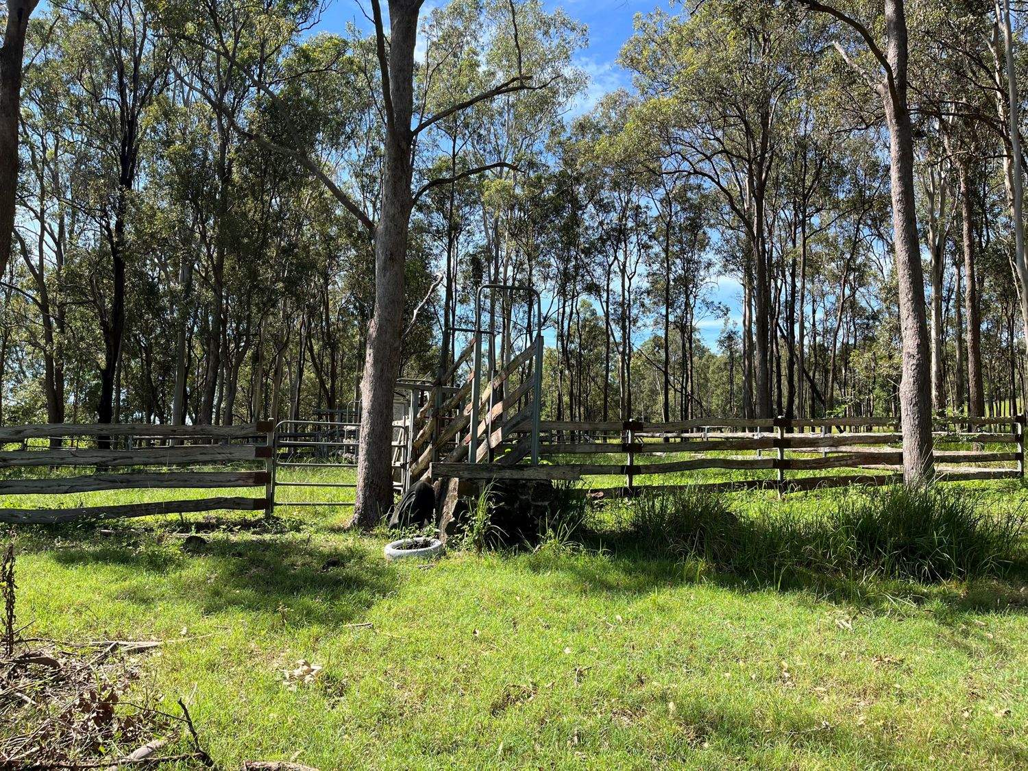 LOT 14 Old Dyraaba Road, Lower Dyraaba For Sale by Farmbuy.com - image 1