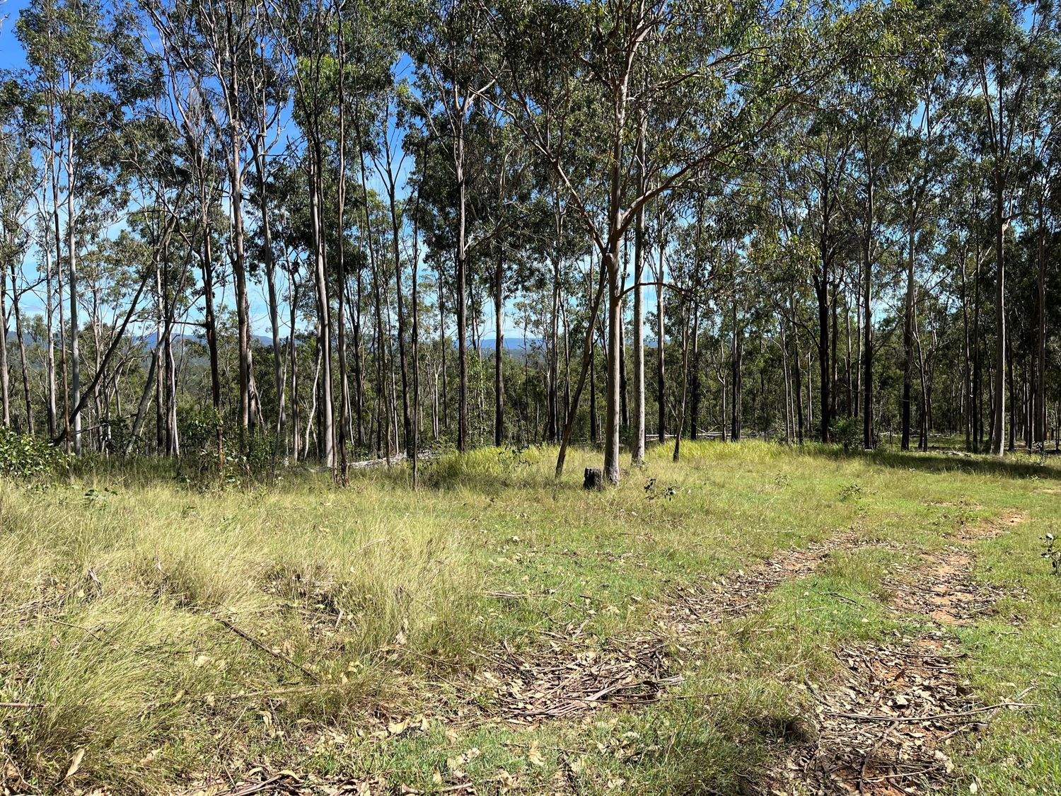 LOT 14 Old Dyraaba Road, Lower Dyraaba For Sale by Farmbuy.com - image 19