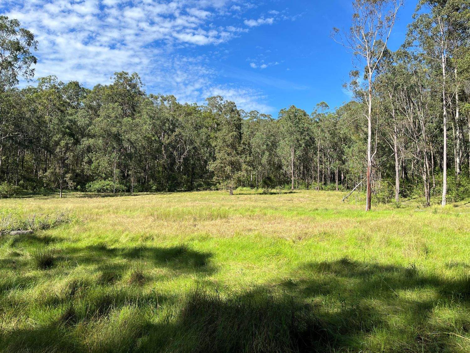 LOT 14 Old Dyraaba Road, Lower Dyraaba For Sale by Farmbuy.com - image 9