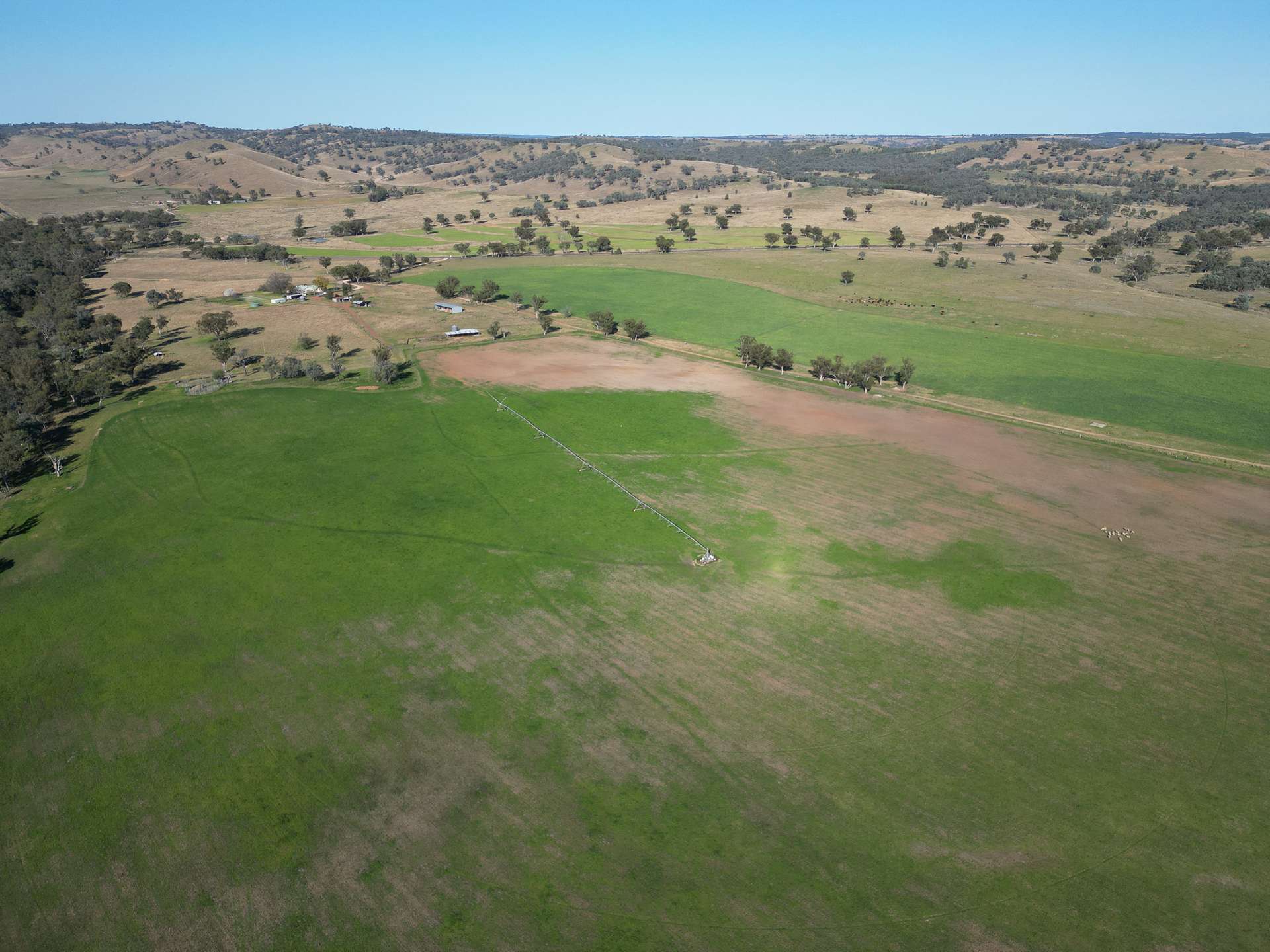 1198 Bukkulla Road, Ashford For Sale by Farmbuy.com - image 24