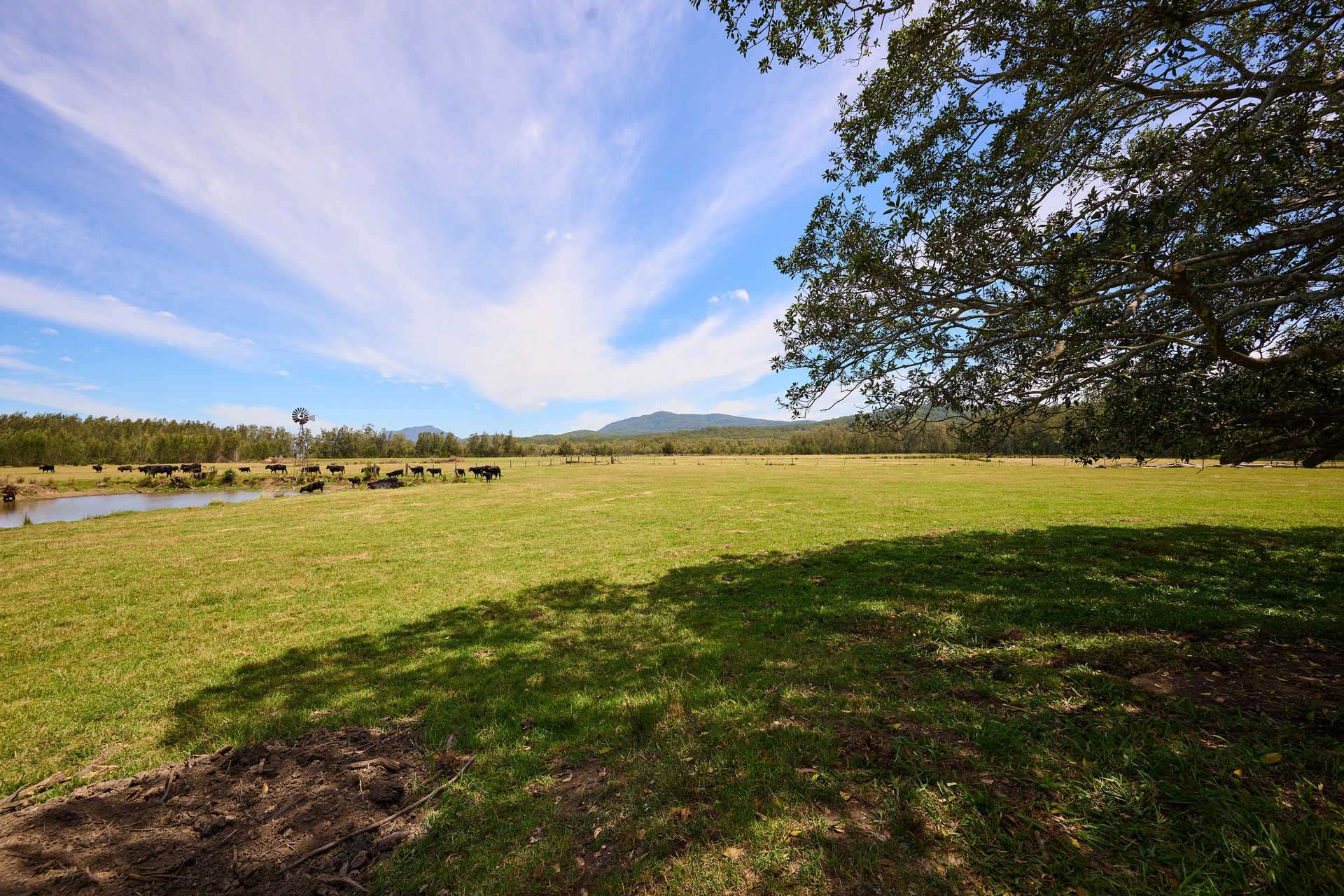 4300 Pacific Highway, Middle Brother For Sale by Farmbuy.com - image 13