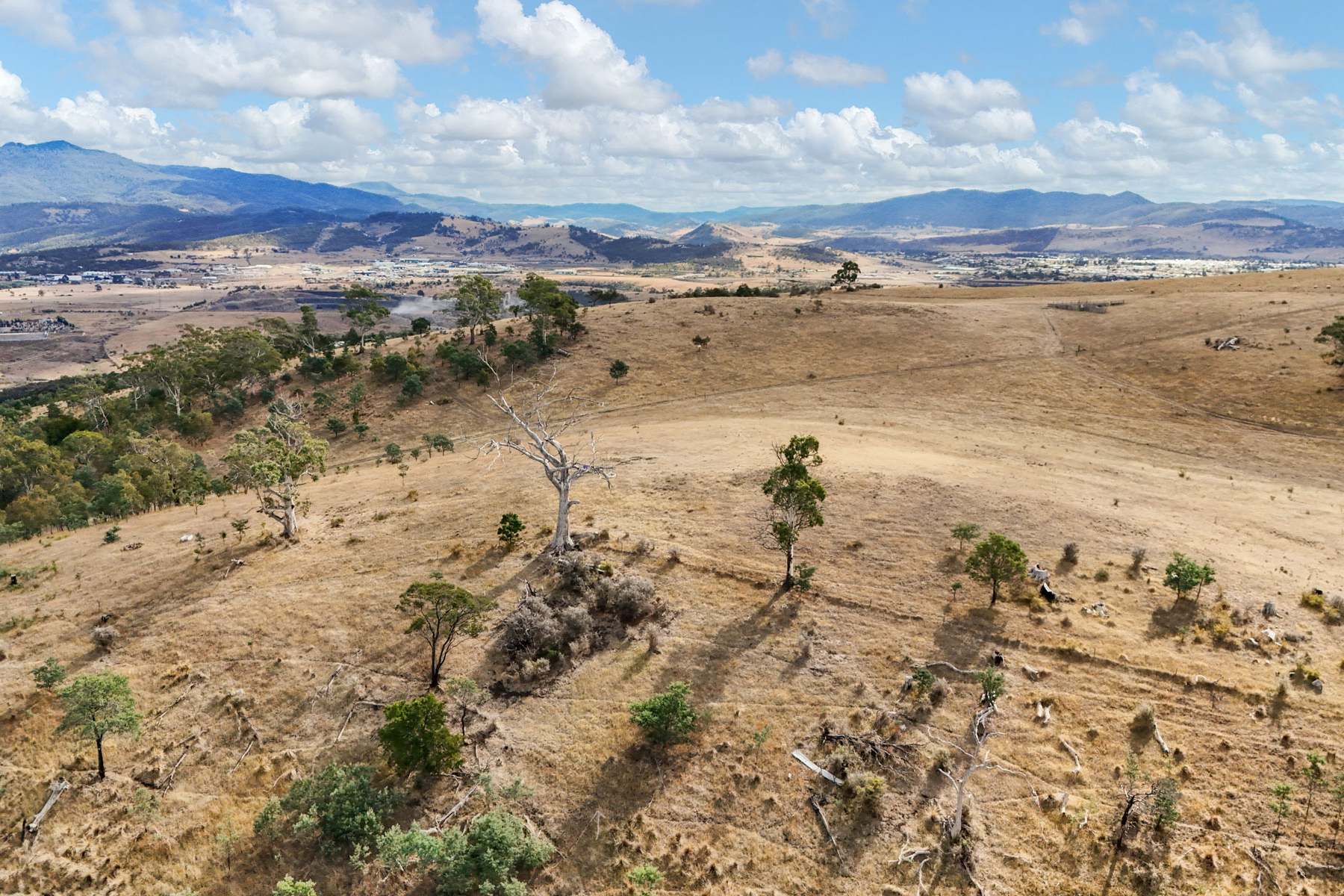 210 Briggs Road, Honeywood For Sale by Farmbuy.com - image 19