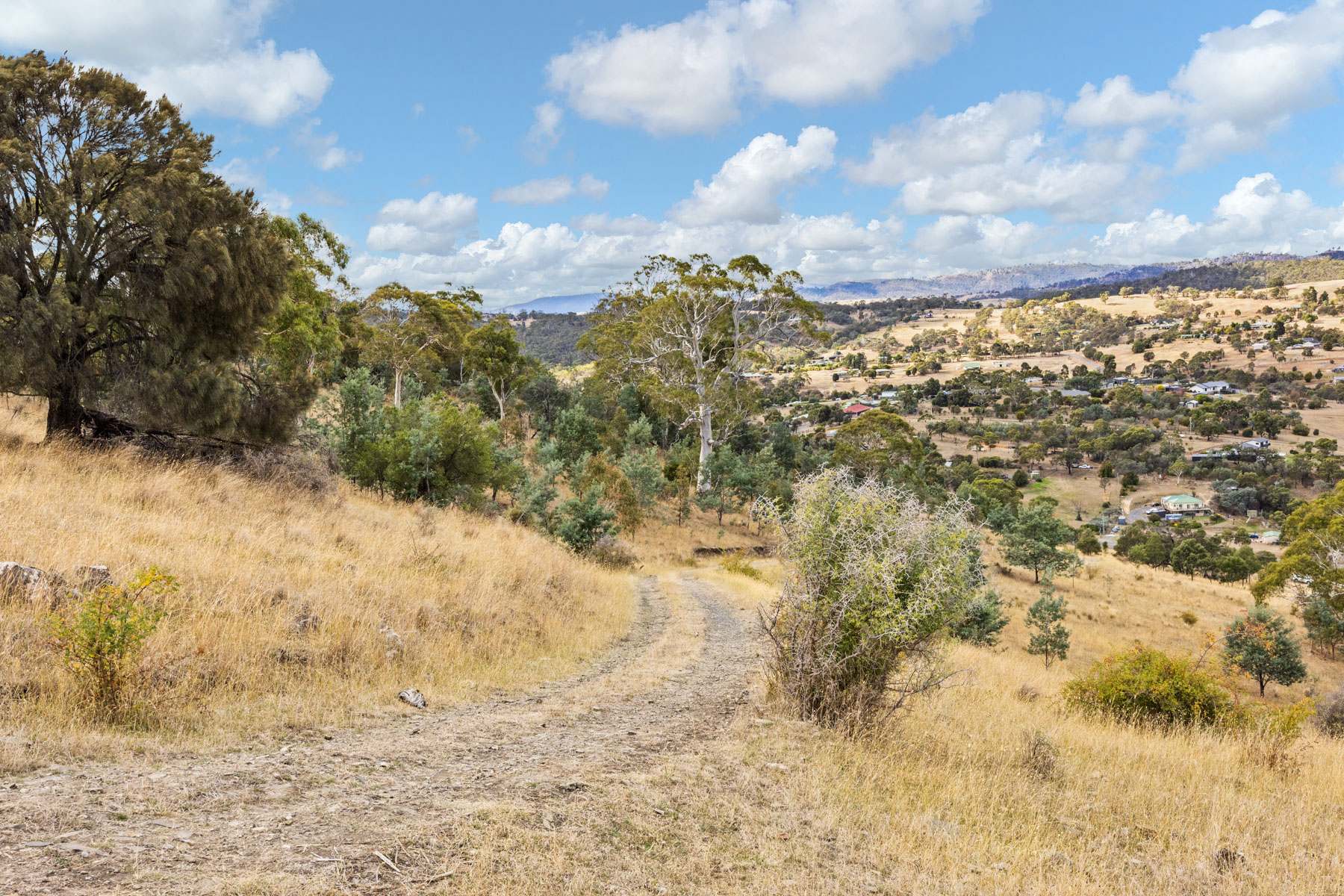 210 Briggs Road, Honeywood For Sale by Farmbuy.com - image 2