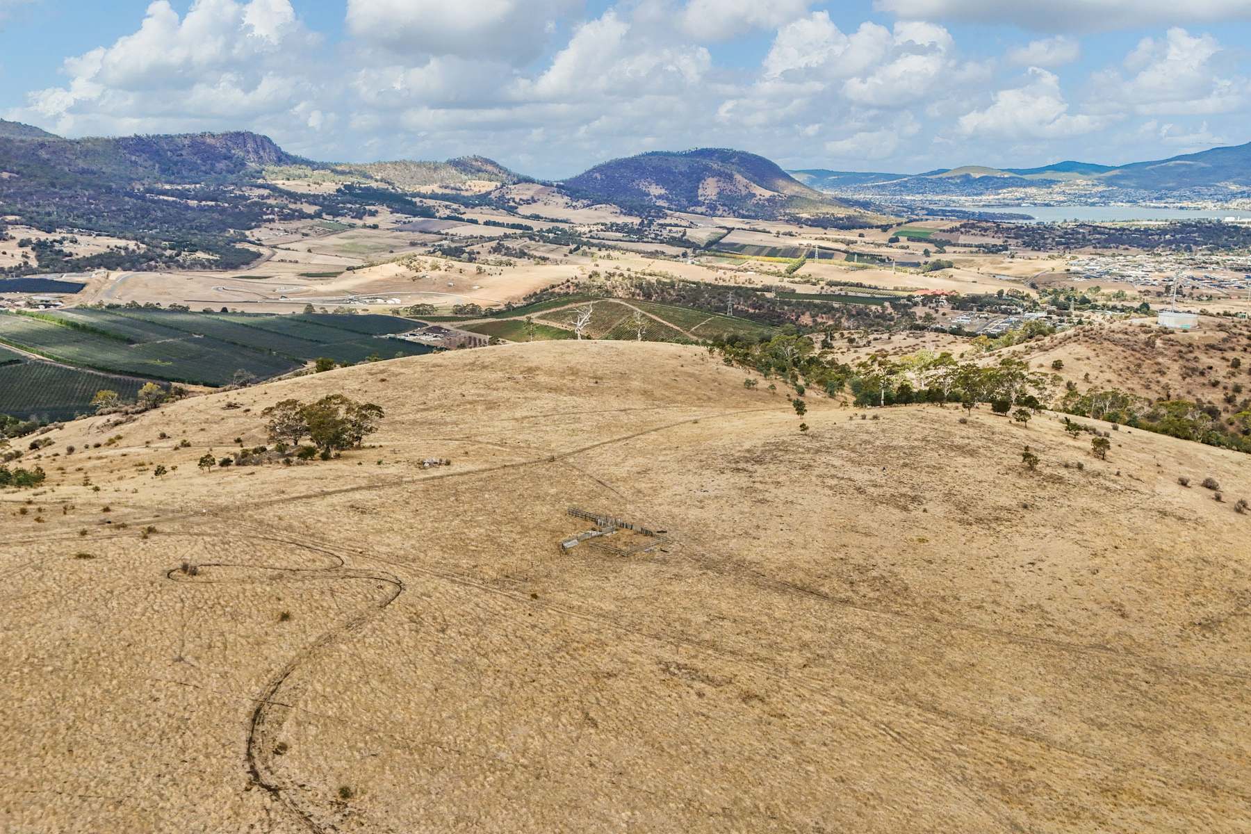 210 Briggs Road, Honeywood For Sale by Farmbuy.com - image 11