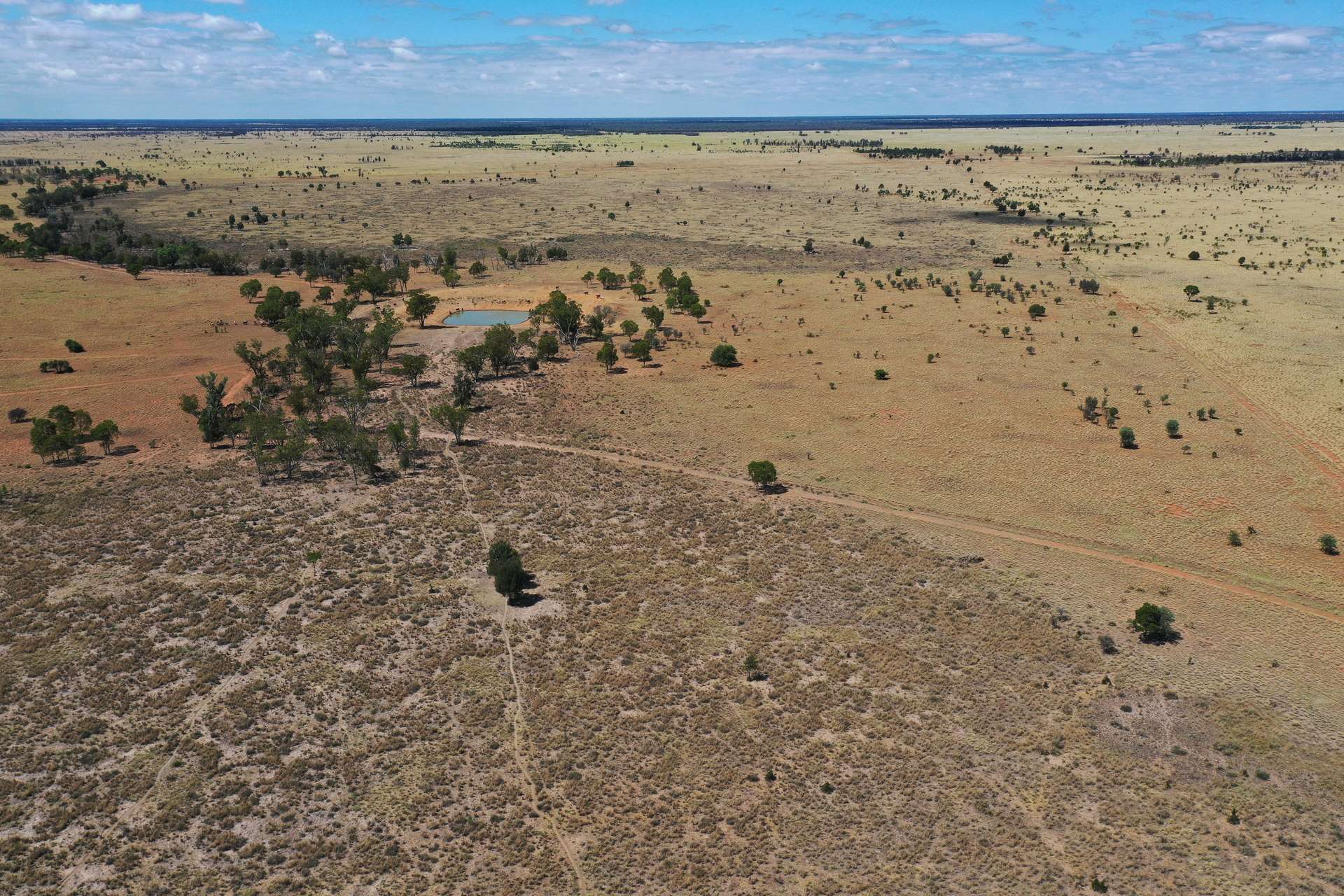 13724 Mitchell - St George Rd, St George For Sale by Farmbuy.com - image 15