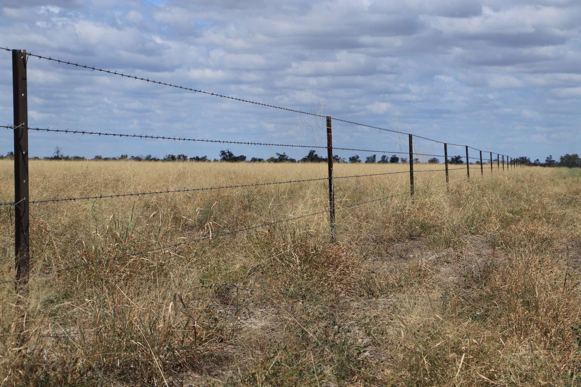 13724 Mitchell - St George Rd, St George For Sale by Farmbuy.com - image 19