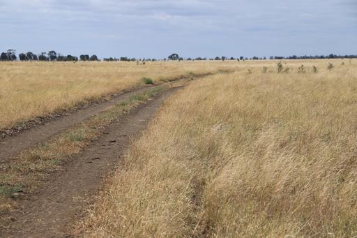 13724 Mitchell - St George Rd, St George QLD 4487