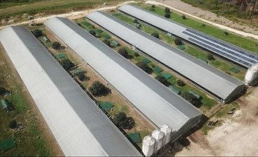 Mangrove Mountain NSW 2250