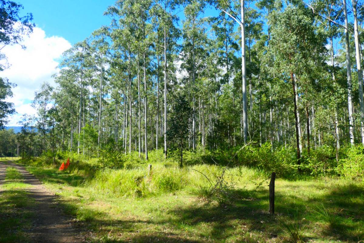 146 Mills Road, Bean Creek For Sale by Farmbuy.com - image 5
