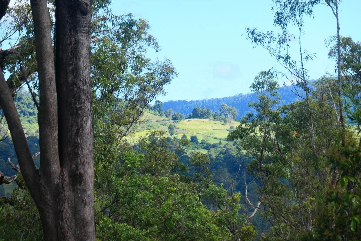 146 Mills Road, Bean Creek For Sale by Farmbuy.com - image 6