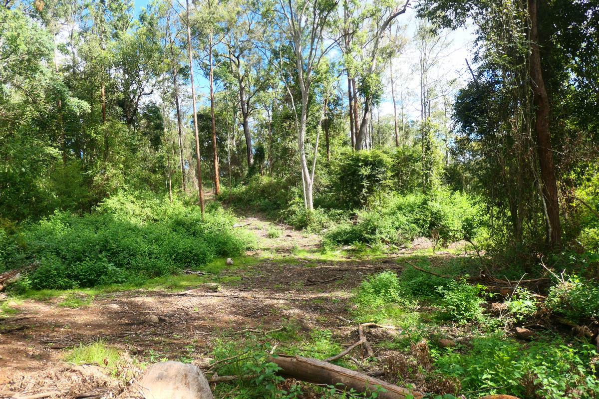 146 Mills Road, Bean Creek For Sale by Farmbuy.com - image 20