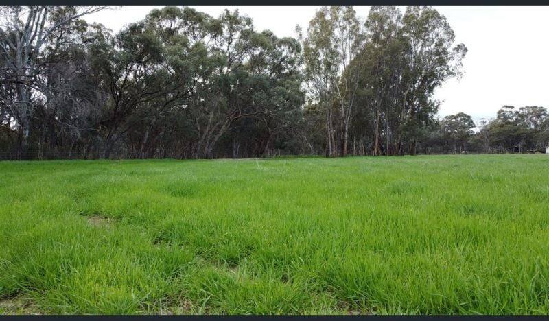 Echuca Village VIC 3564