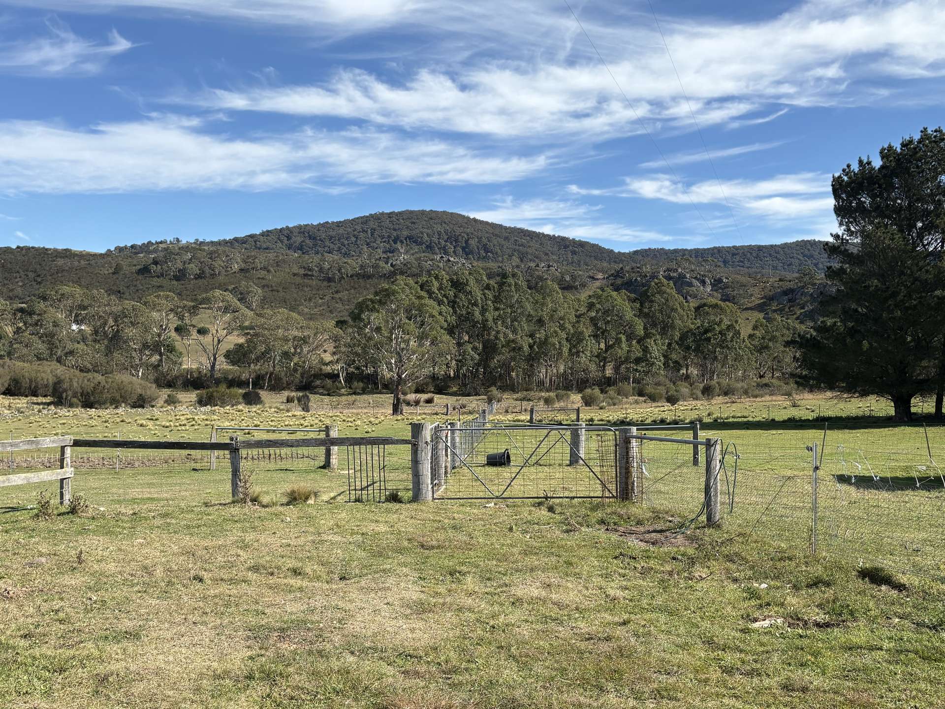 51 Griffins Road, Wyanbene For Sale by Farmbuy.com - image 25