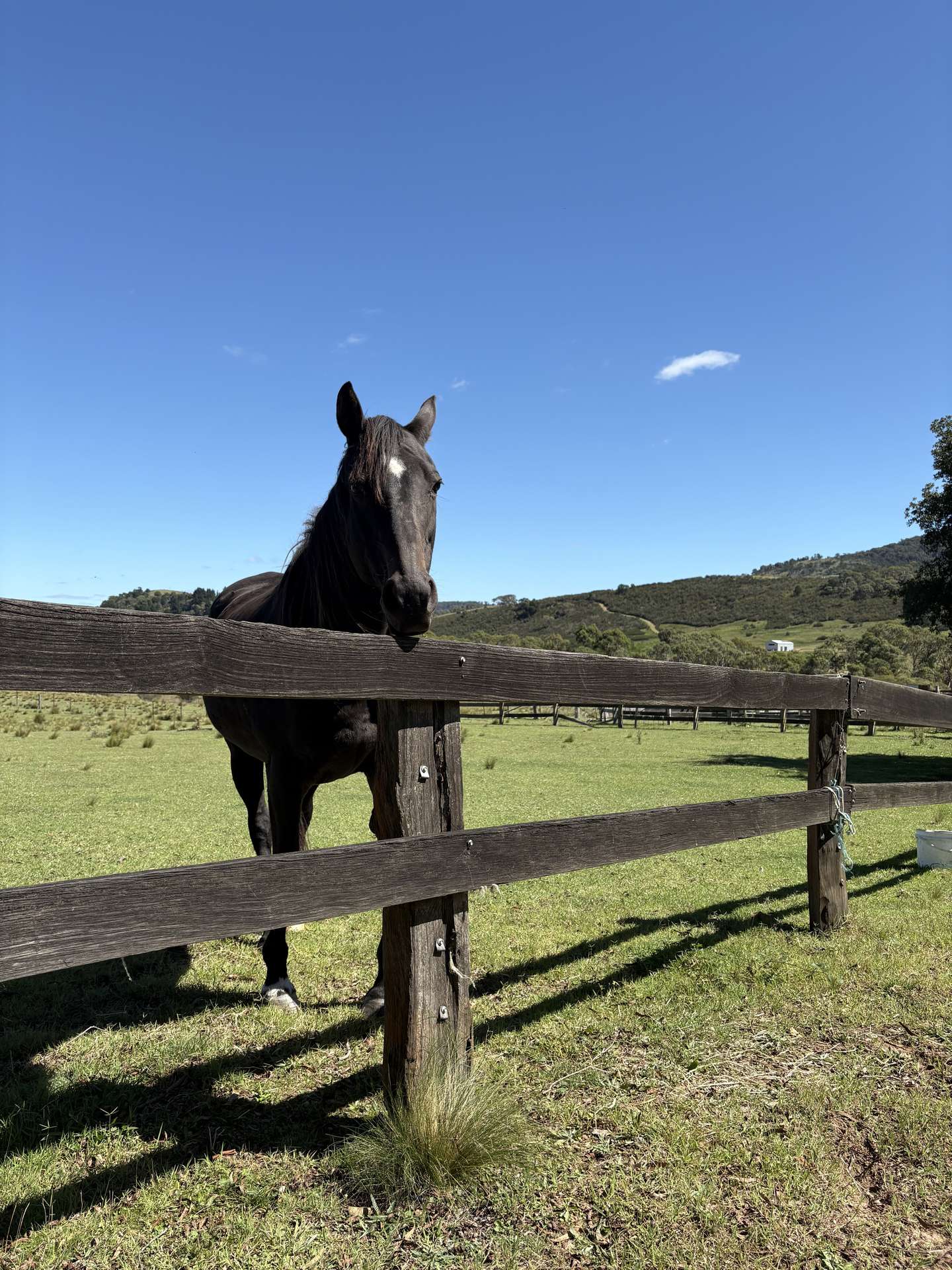 51 Griffins Road, Wyanbene For Sale by Farmbuy.com - image 6