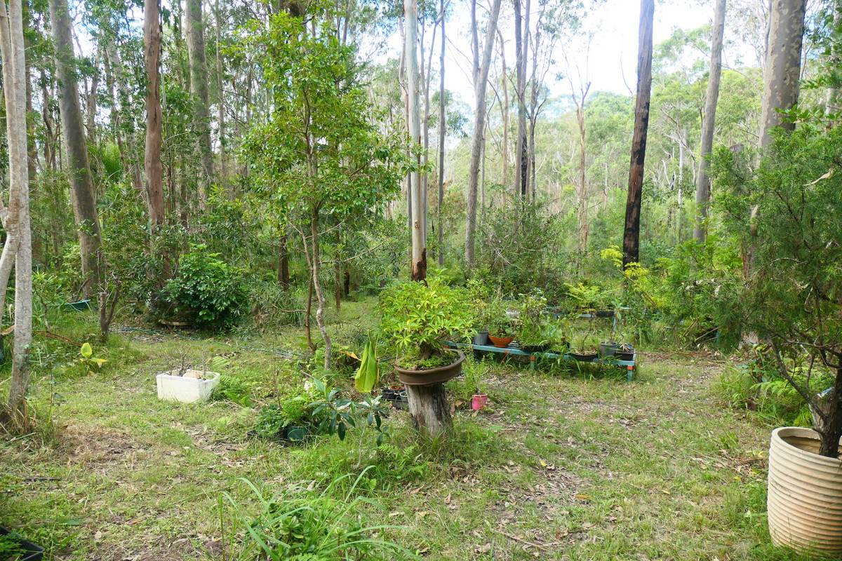 Lot 5 Long Gully Road, Drake For Sale by Farmbuy.com - image 8