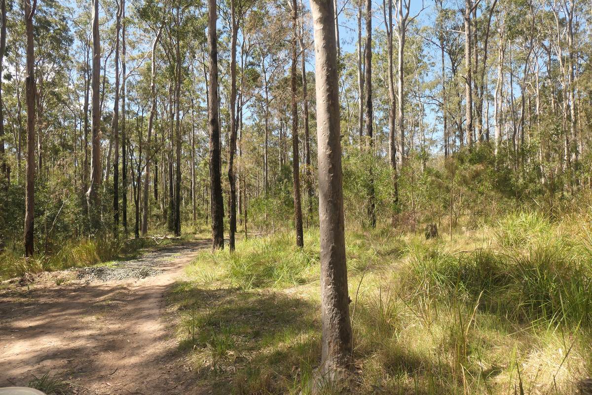 Lot 5 Long Gully Road, Drake For Sale by Farmbuy.com - image 22