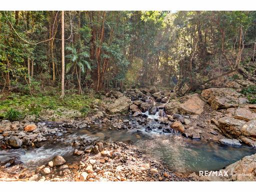 Farm For Sale - QLD - Maleny - 4552 - Private Rainforest Retreat with Two Homes, Creek, Waterfalls & Rare Ecosystems 