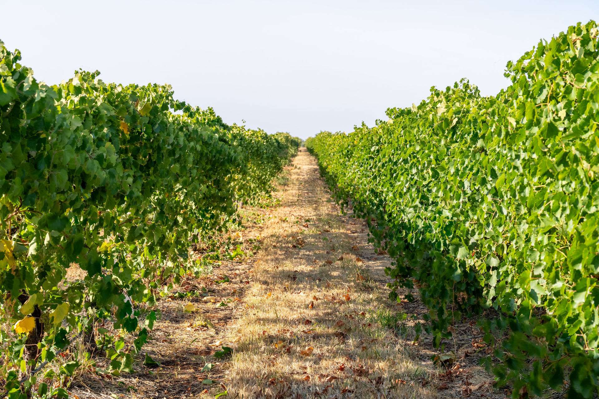 22 Willoughby Road, Burramboot For Sale by Farmbuy.com - image 26