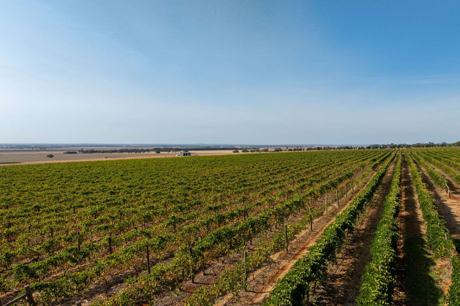 22 Willoughby Road, Burramboot For Sale by Farmbuy.com - image 2