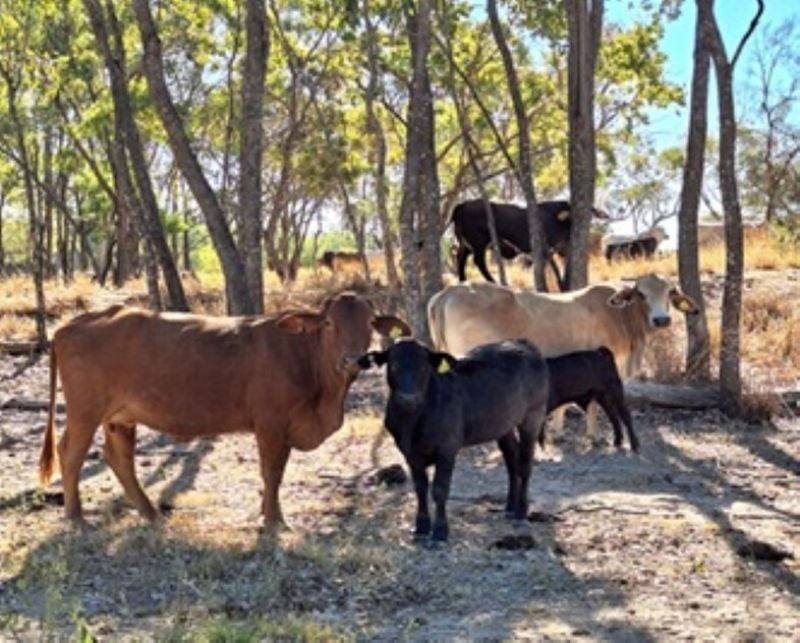 6743 Dunrobin Road, Jericho For Sale by Farmbuy.com - image 26