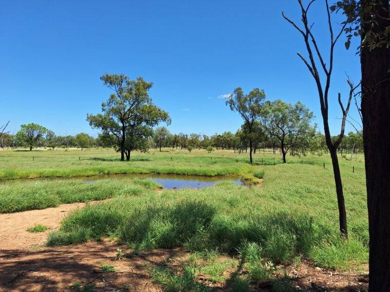 6743 Dunrobin Road, Jericho For Sale by Farmbuy.com - image 8