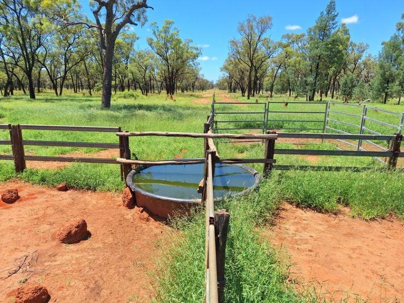 6743 Dunrobin Road, Jericho For Sale by Farmbuy.com - image 5