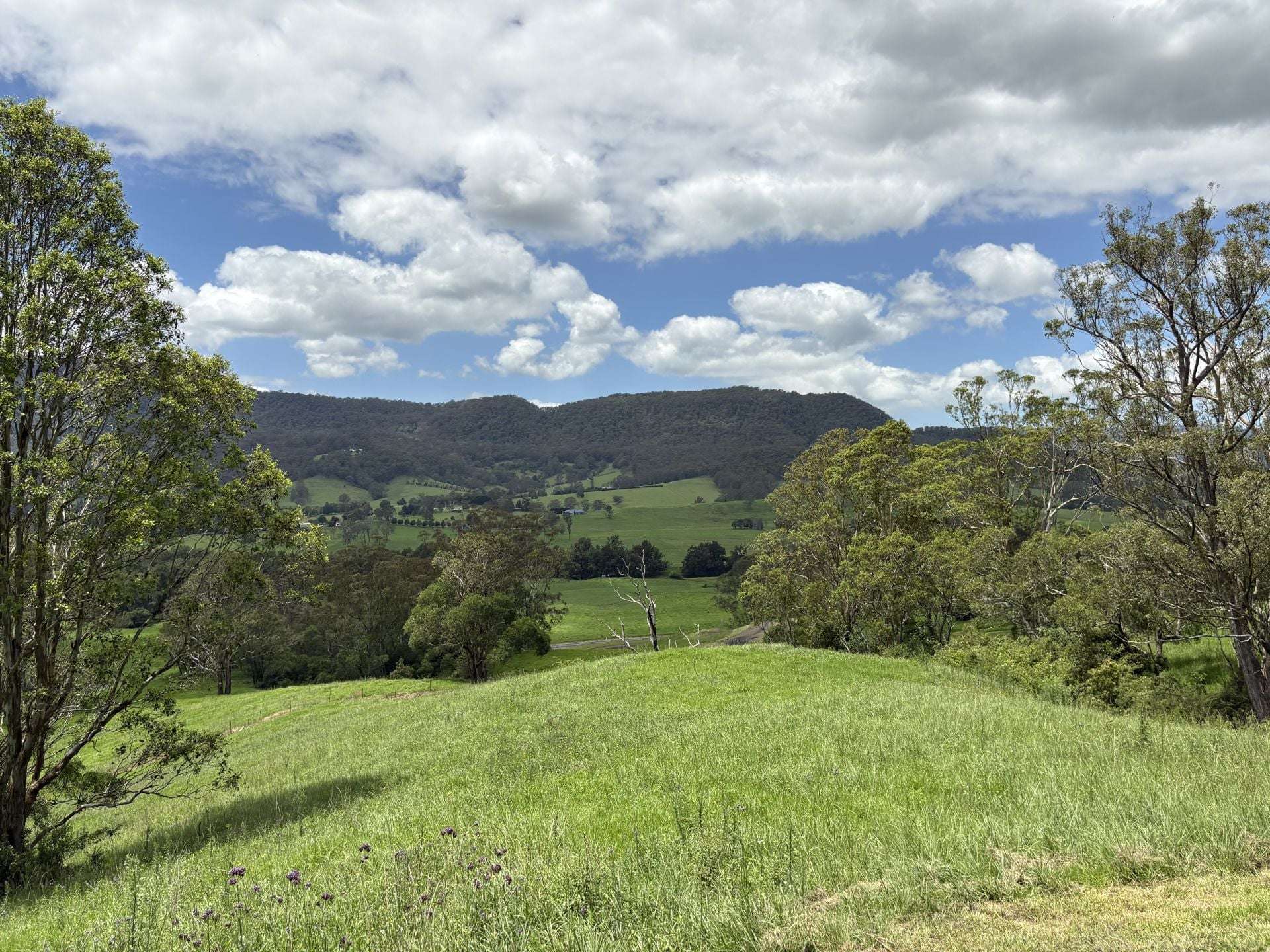 2393 Moss Vale Road, Kangaroo Valley For Sale by Farmbuy.com - image 19