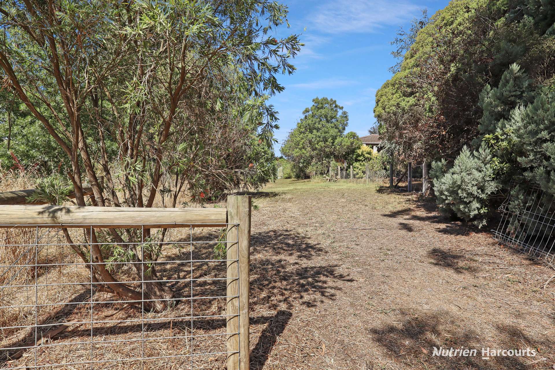 8 Levy Street, Merino For Sale by Farmbuy.com - image 15