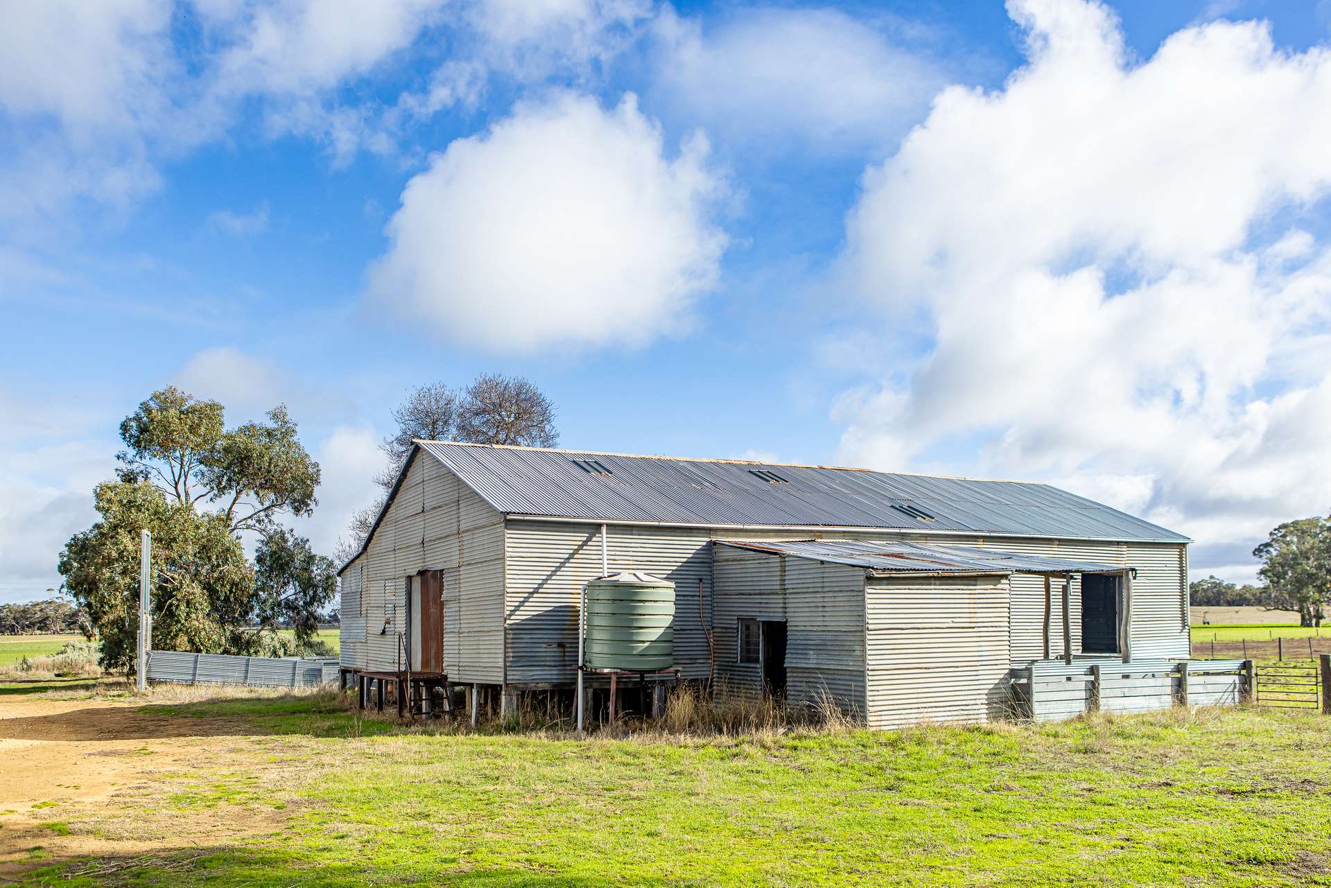 1911 Cadgee Road, Naracoorte For Sale by Farmbuy.com - image 11