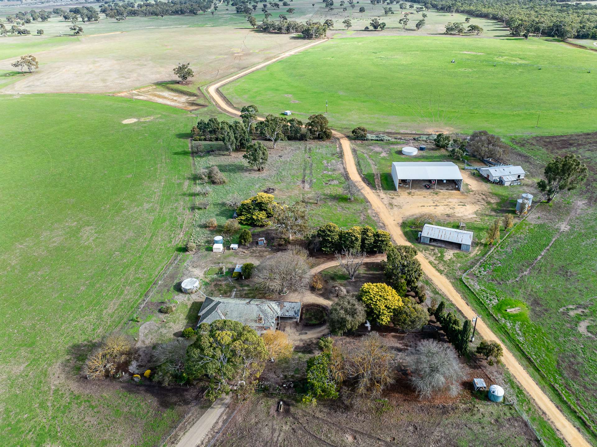 1911 Cadgee Road, Naracoorte For Sale by Farmbuy.com - image 2