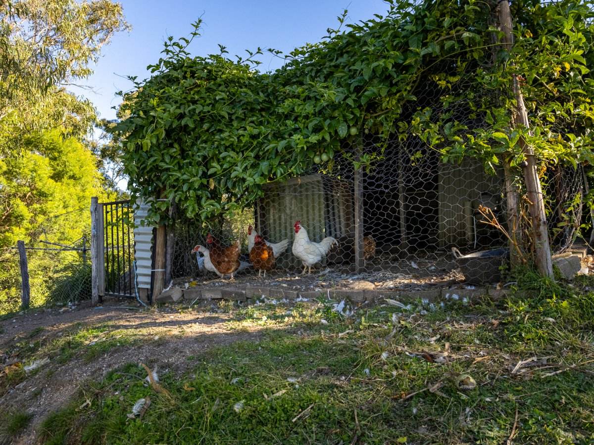 142 Eagles Nest Road, Brogo For Sale by Farmbuy.com - image 16
