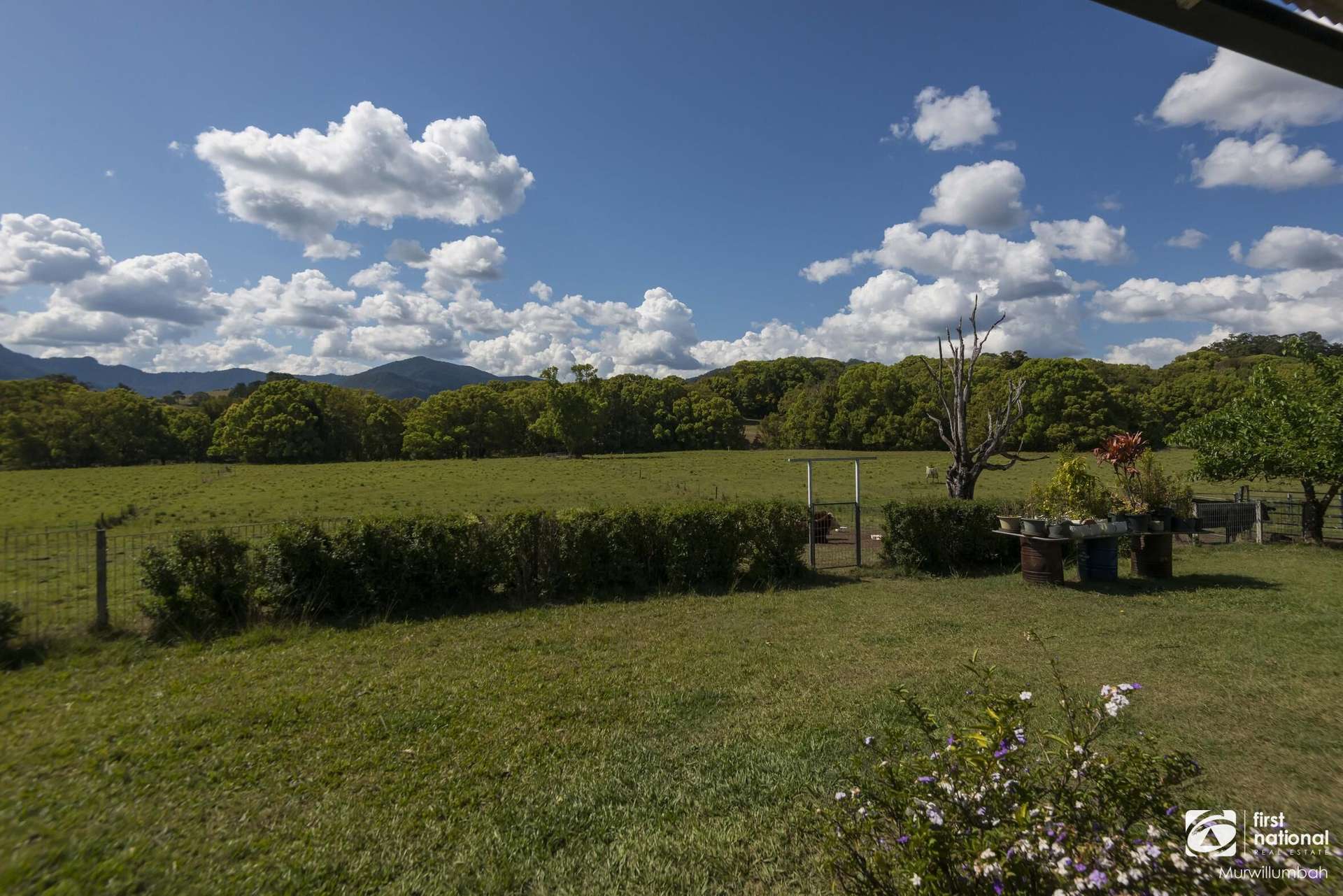 75 Tuntable Falls Road, Nimbin For Sale by Farmbuy.com - image 29