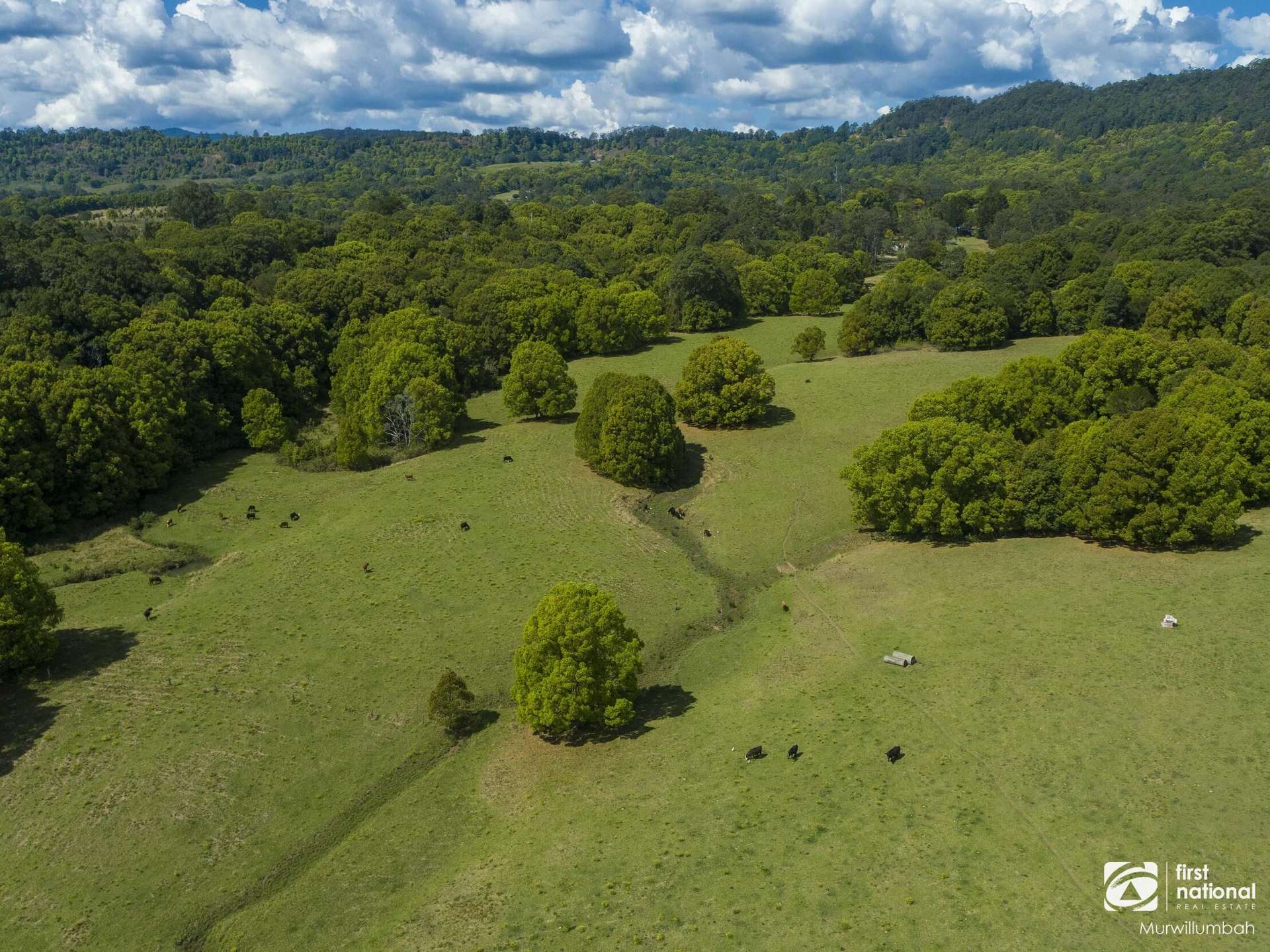 75 Tuntable Falls Road, Nimbin For Sale by Farmbuy.com - image 9