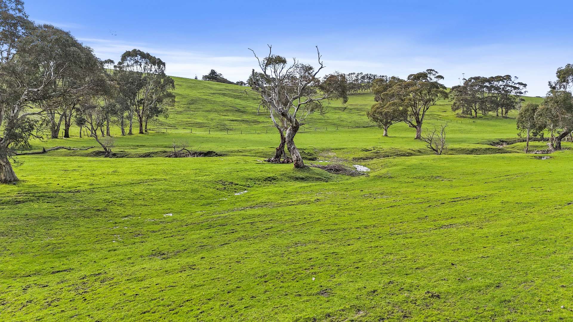 784 Back Valley Road, Back Valley For Sale by Farmbuy.com - image 30