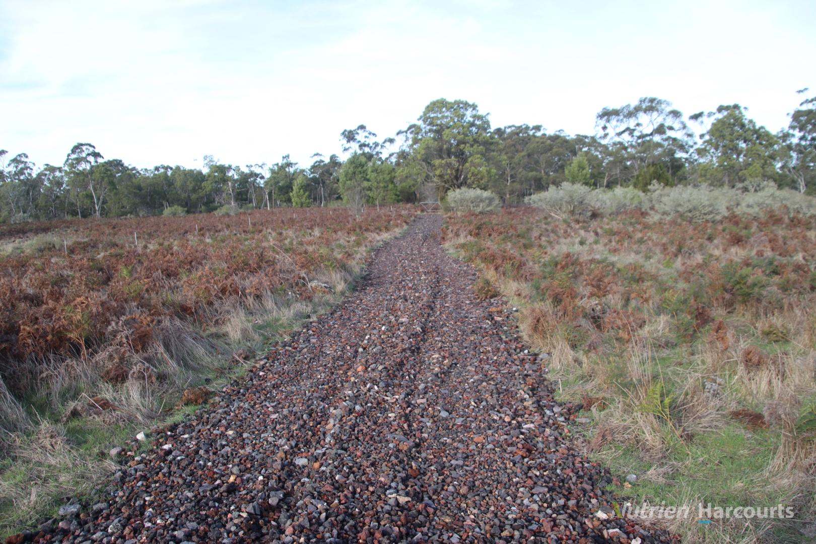 1805 Princes Highway, Pirron Yallock For Sale by Farmbuy.com - image 5