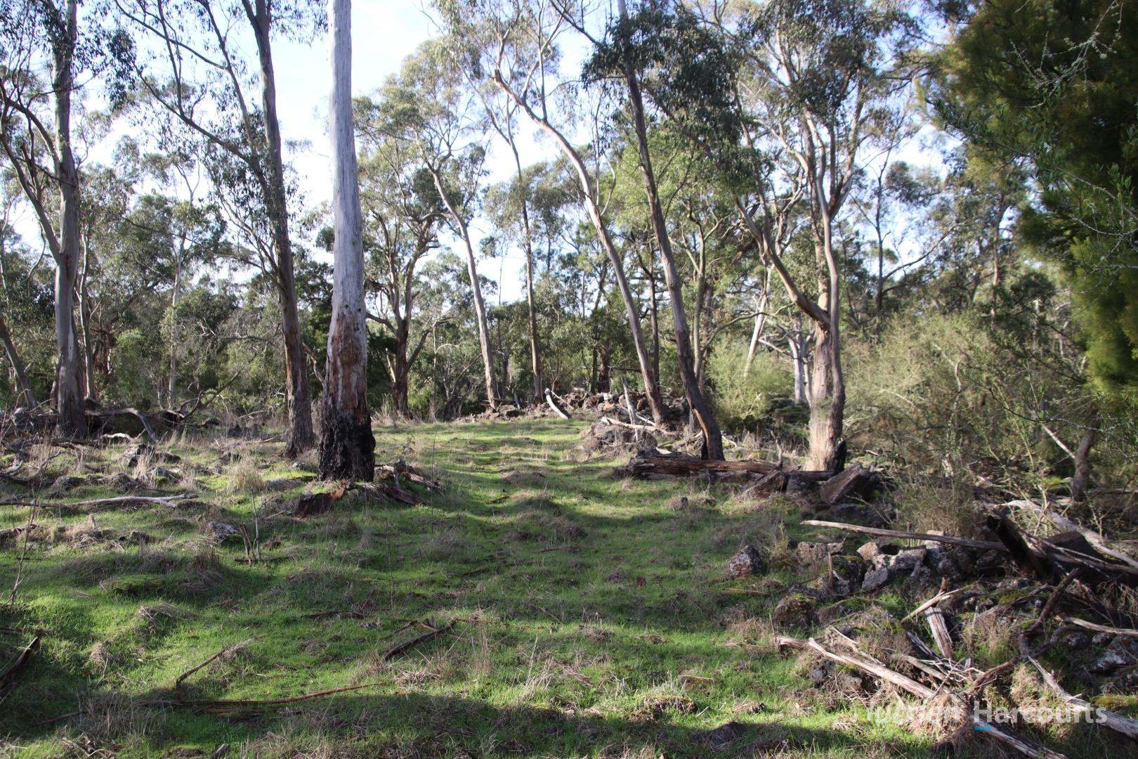 1805 Princes Highway, Pirron Yallock For Sale by Farmbuy.com - image 7