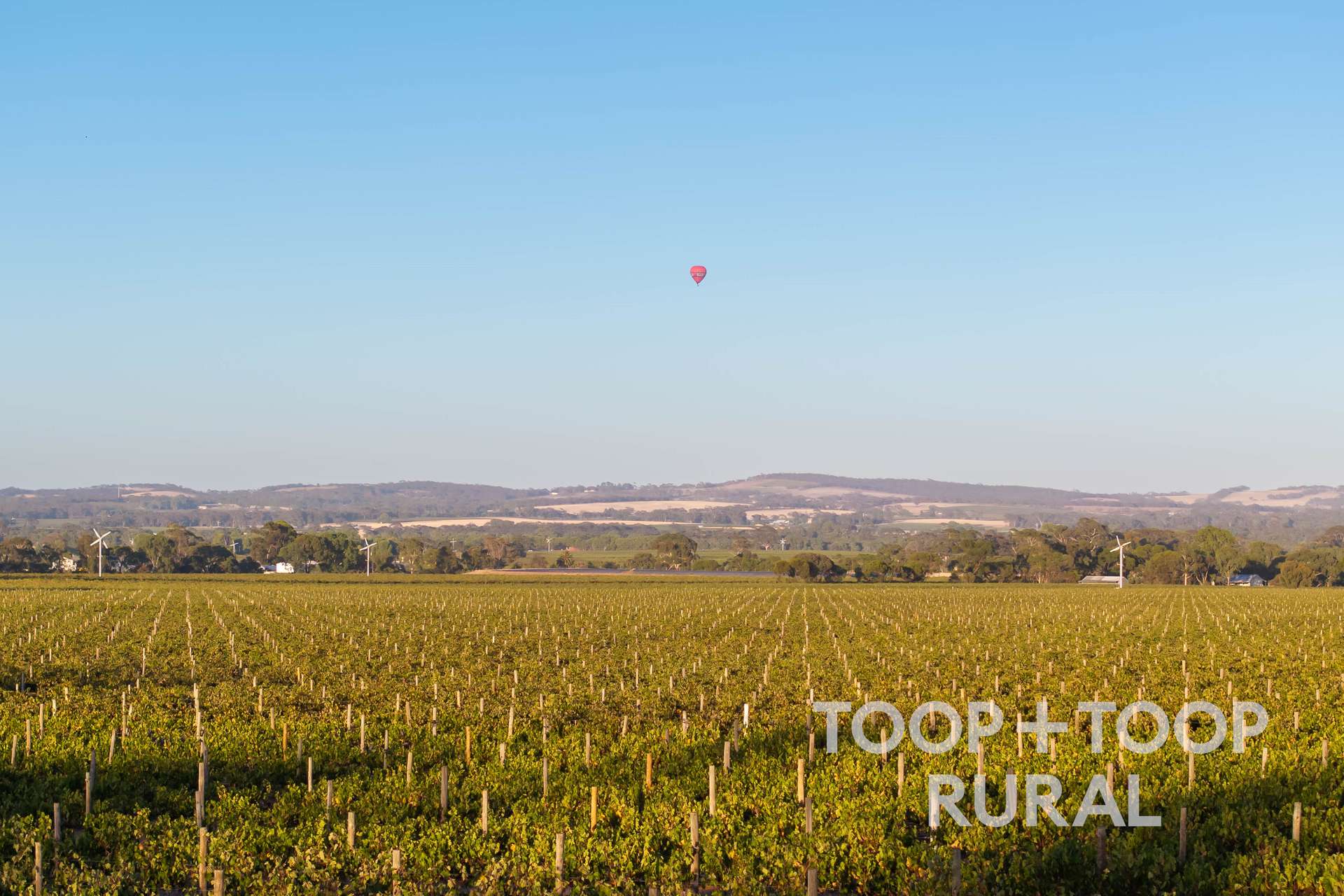 1404 Research Road, Ebenezer For Sale by Farmbuy.com - image 13