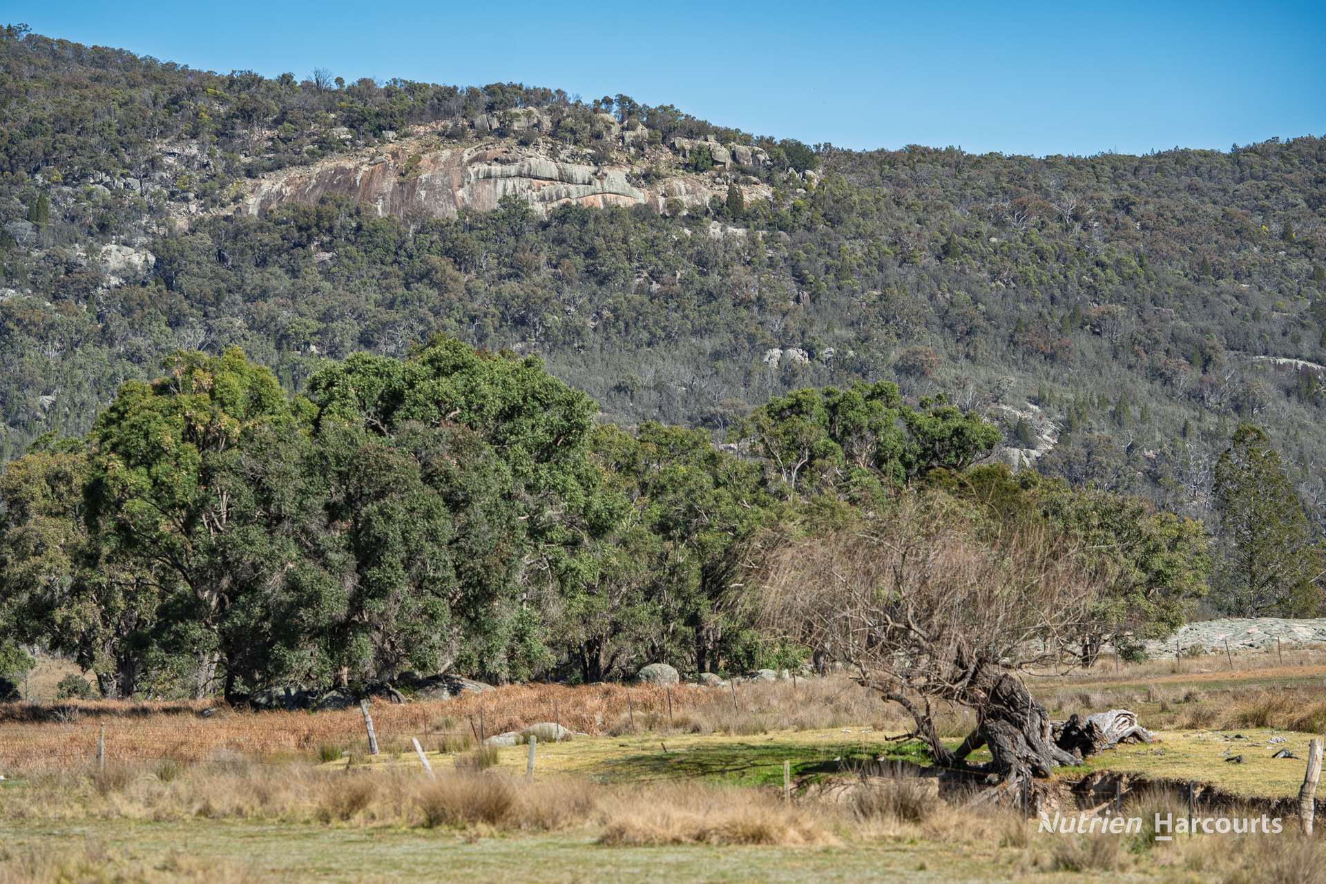 208 Rocky Glen Road, Kingstown For Sale by Farmbuy.com - image 26