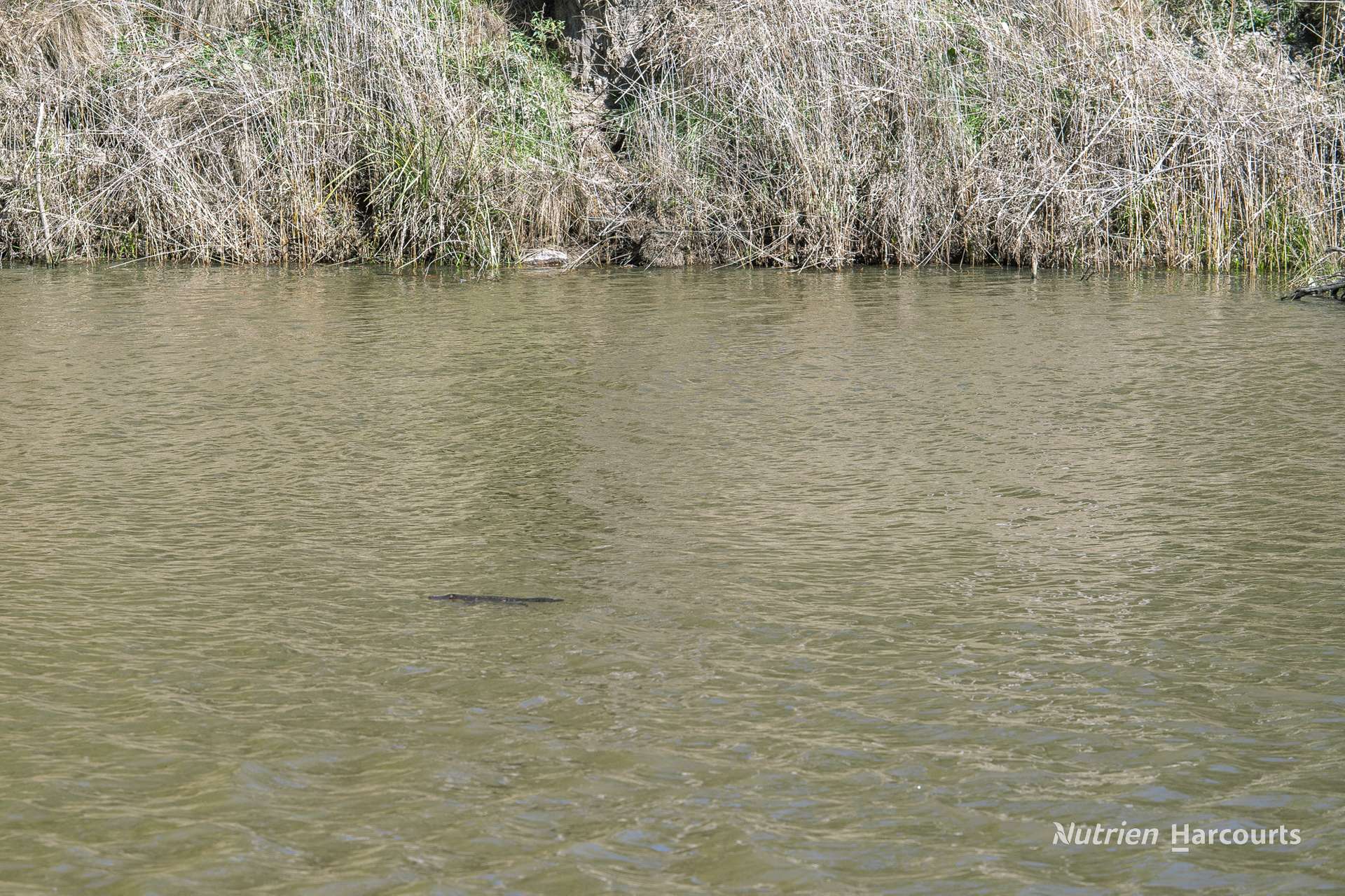 208 Rocky Glen Road, Kingstown For Sale by Farmbuy.com - image 14