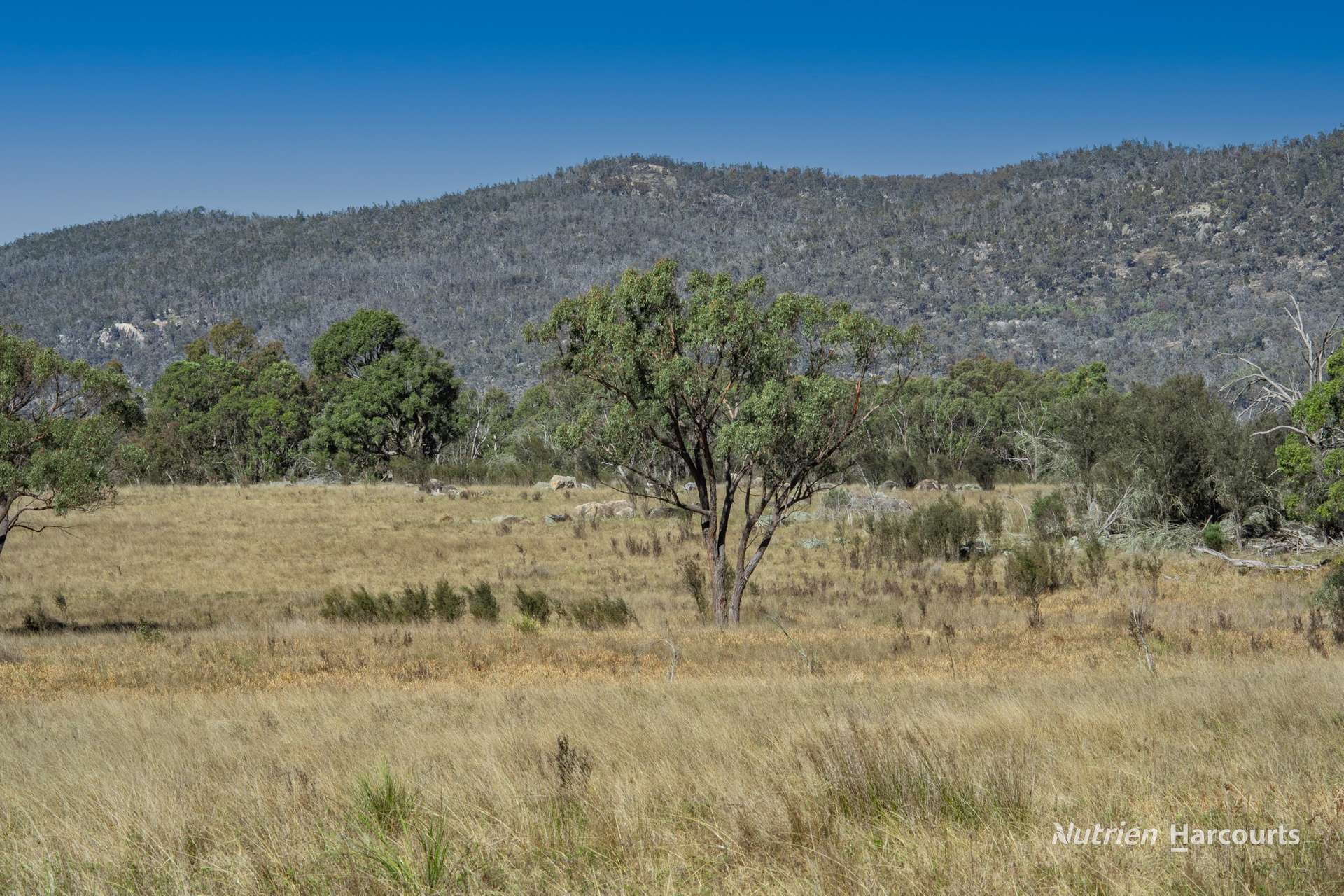 208 Rocky Glen Road, Kingstown For Sale by Farmbuy.com - image 3