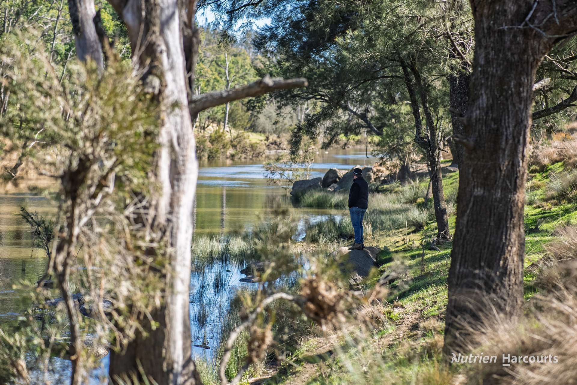 208 Rocky Glen Road, Kingstown For Sale by Farmbuy.com - image 12