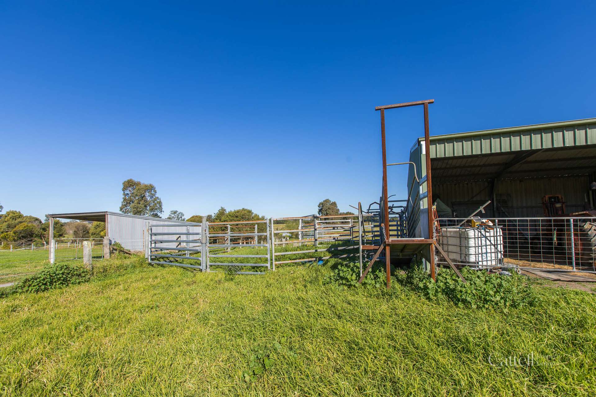 126 Glenarvon Road, Lorn For Sale by Farmbuy.com - image 15