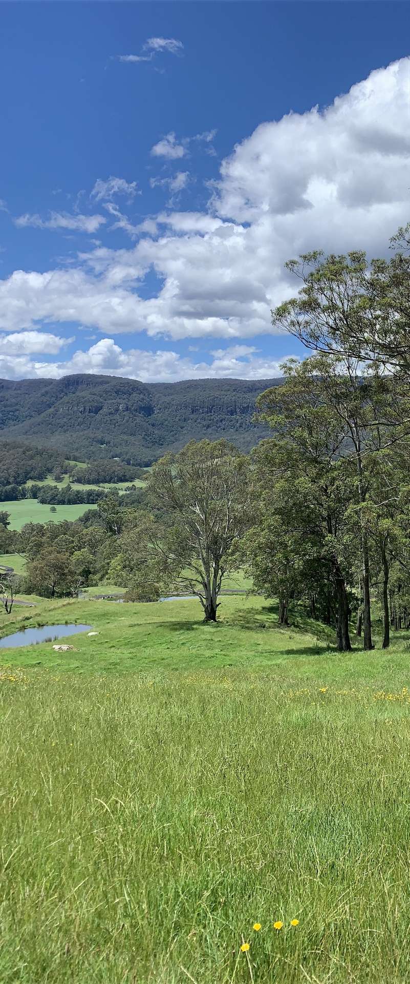 2319 Moss Vale Road, Kangaroo Valley For Sale by Farmbuy.com - image 28
