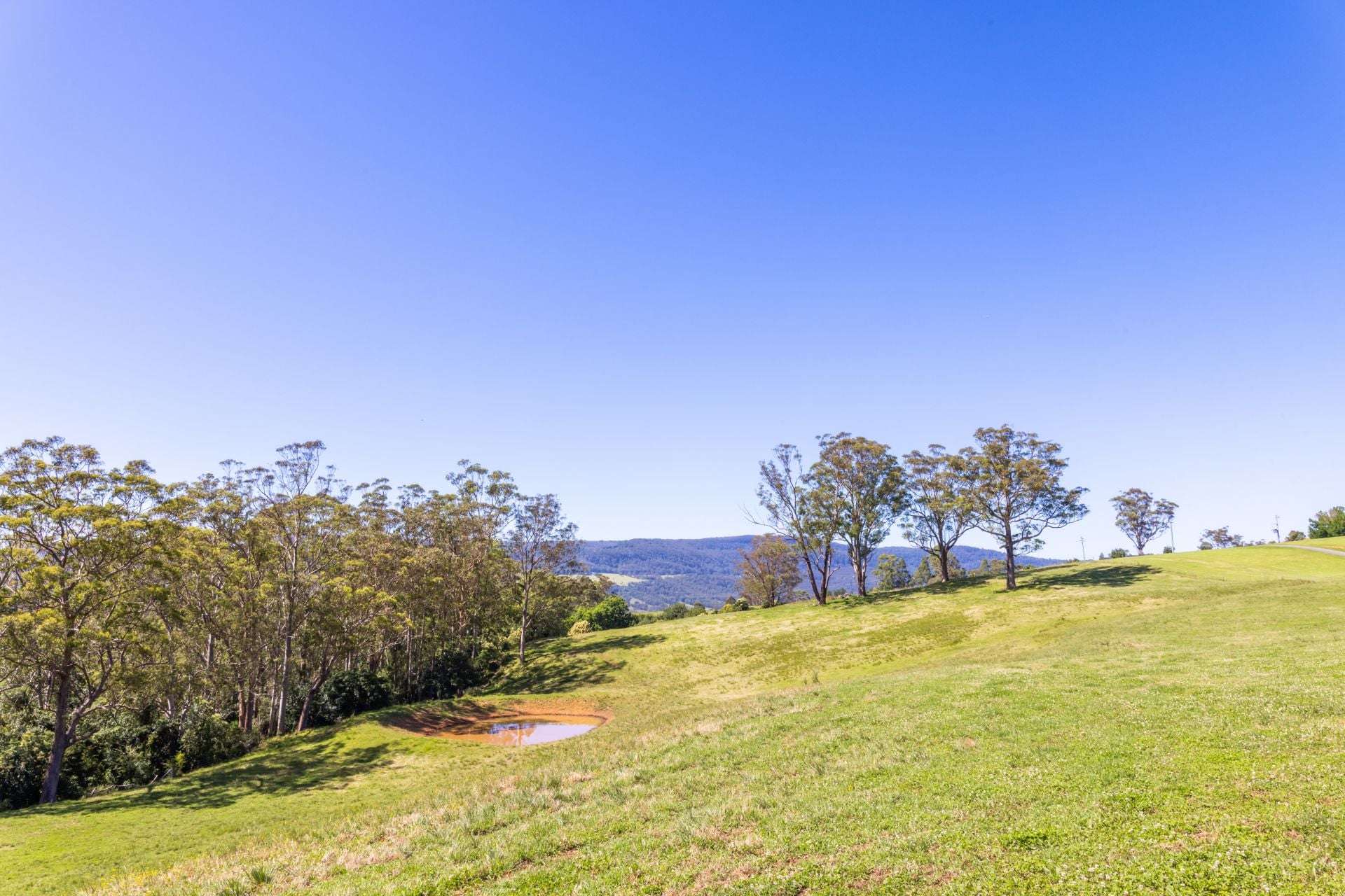 2319 Moss Vale Road, Kangaroo Valley For Sale by Farmbuy.com - image 24