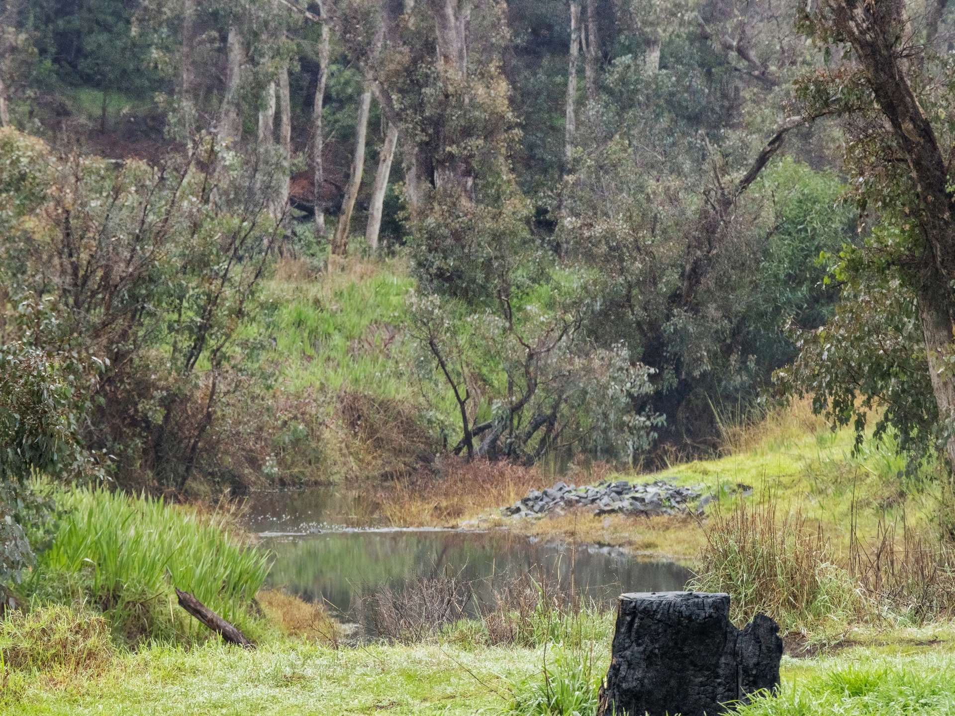 1192 Balingup-Nannup Road, Southampton For Sale by Farmbuy.com - image 25