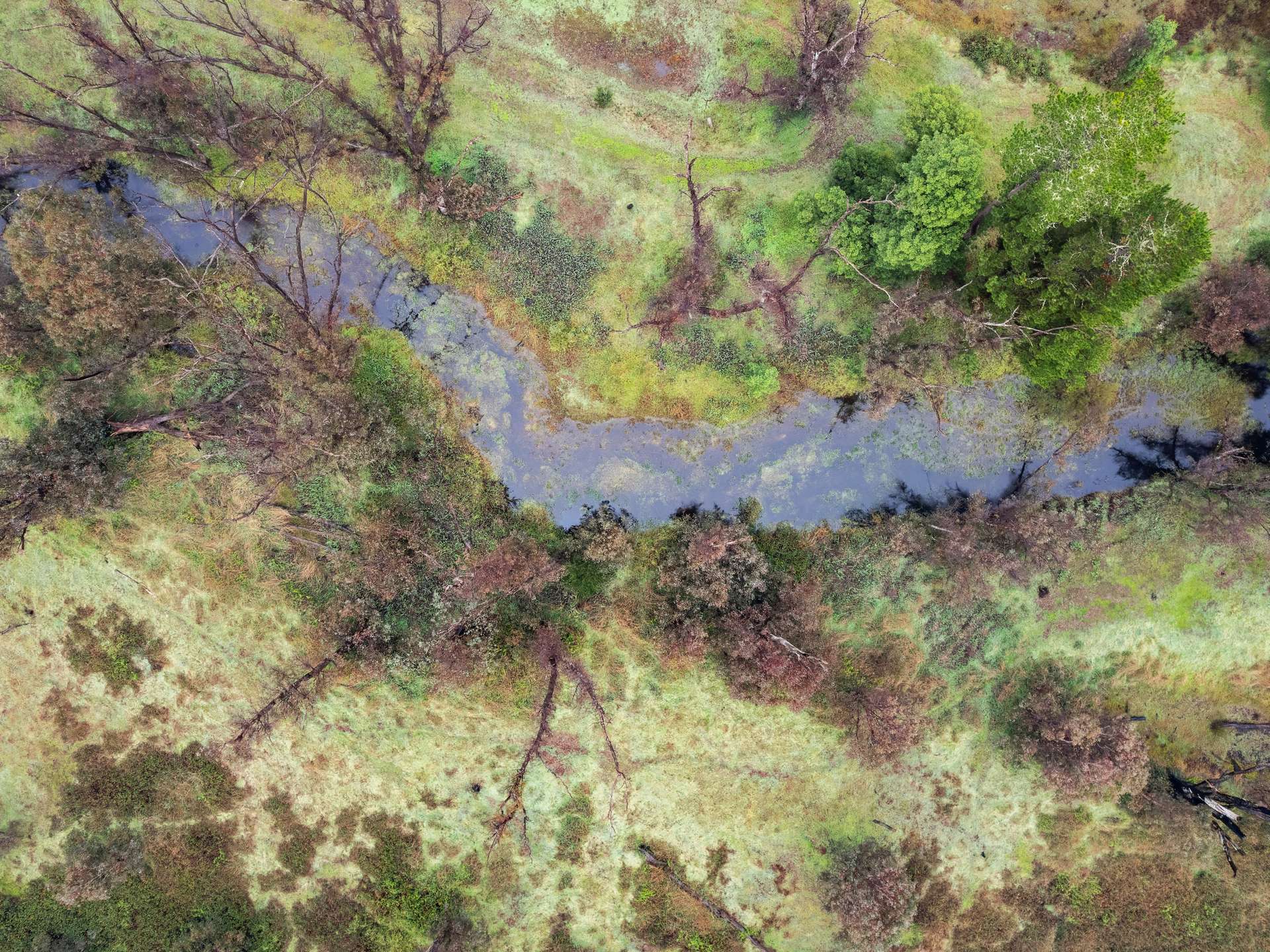 1192 Balingup-Nannup Road, Southampton For Sale by Farmbuy.com - image 16