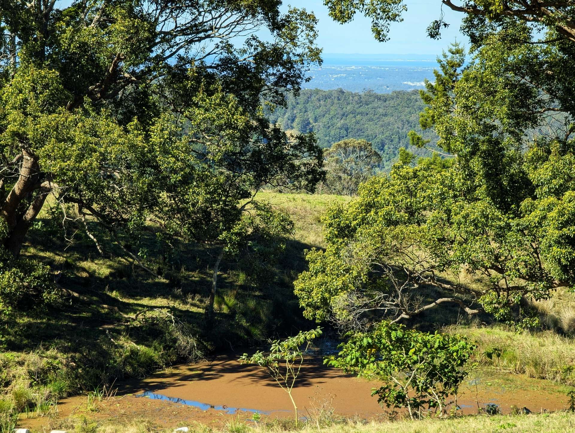 1190 Campbells Pockets Road, Mount Mee For Sale by Farmbuy.com - image 20